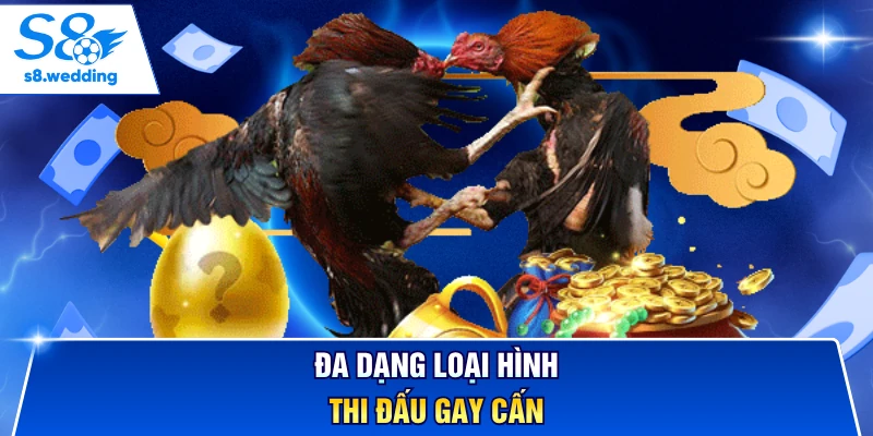 Đa dạng loại hình thi đấu gay cấn