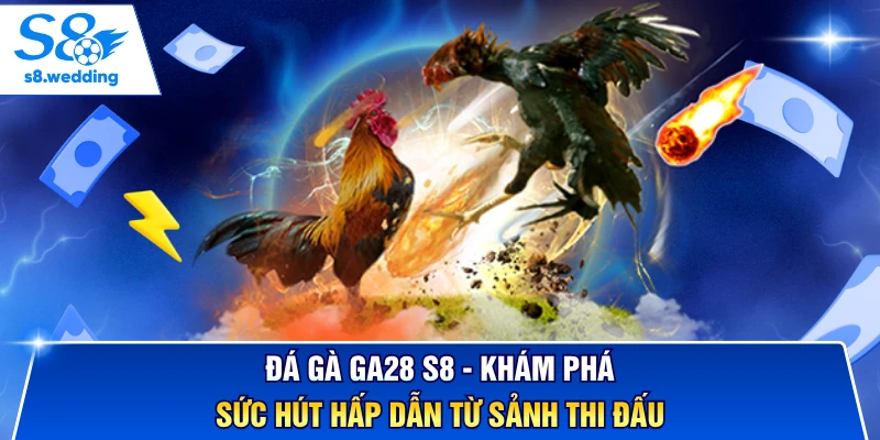 Đá Gà GA28 S8 - Khám Phá Sức Hút Hấp Dẫn Từ Sảnh Thi Đấu