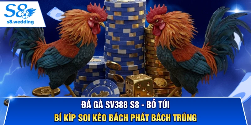 Đá Gà SV388 S8 - Bỏ Túi Bí Kíp Soi Kèo Bách Phát Bách Trúng
