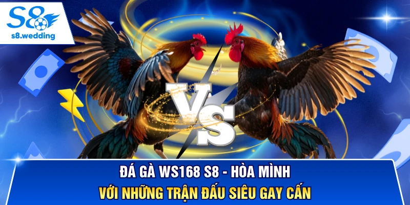 Đá Gà WS168 S8 - Hòa Mình Với Những Trận Đấu Siêu Gay Cấn