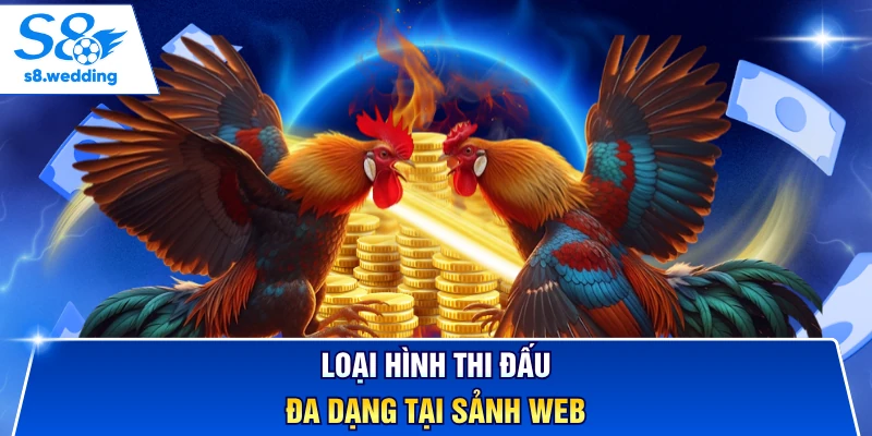 Loại hình thi đấu đa dạng tại sảnh web