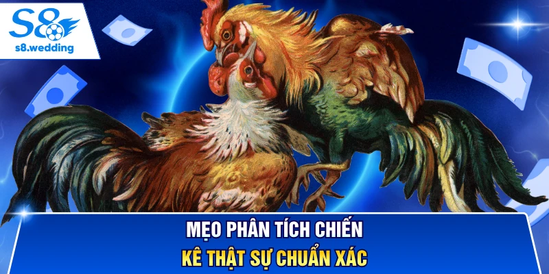 Mẹo phân tích chiến kê thật sự chuẩn xác