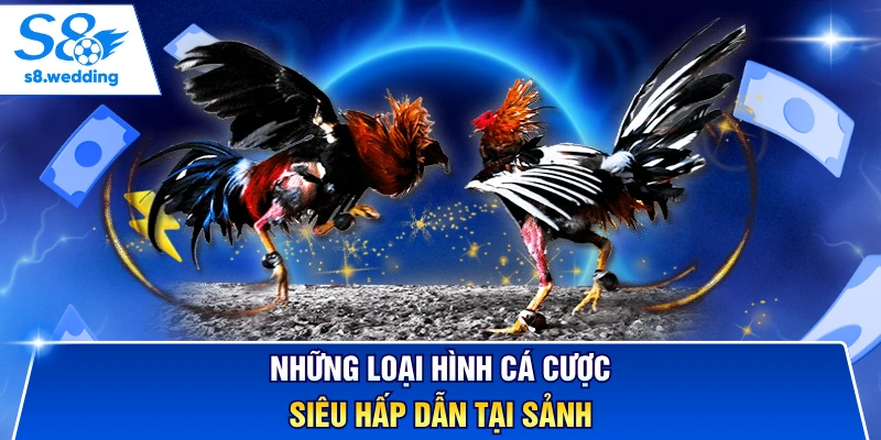 Những loại hình cá cược siêu hấp dẫn tại sảnh