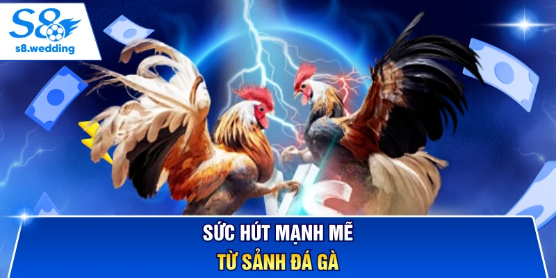 Sức hút mạnh mẽ từ sảnh đá gà